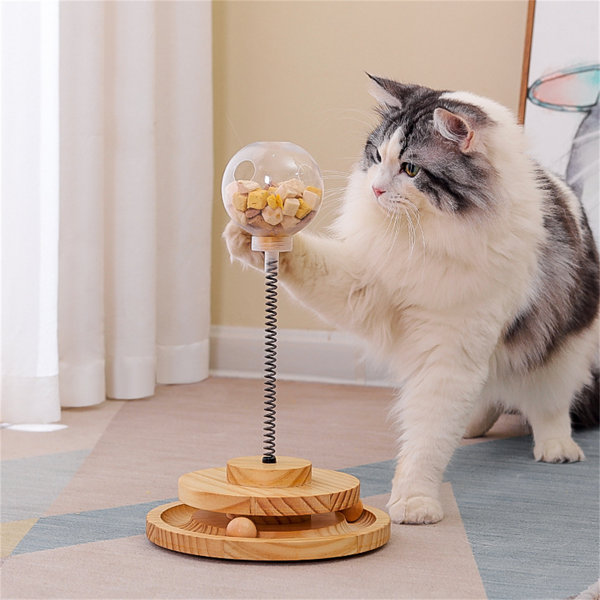 Cat toy 2025 ball in circle